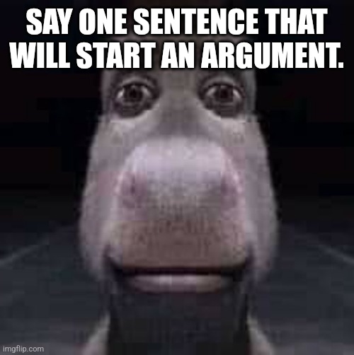 Donkey staring | SAY ONE SENTENCE THAT WILL START AN ARGUMENT. | image tagged in donkey staring | made w/ Imgflip meme maker