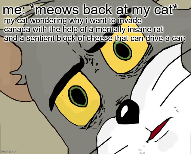 Unsettled Tom Meme | my cat wondering why i want to invade canada with the help of a mentally insane rat and a sentient block of cheese that can drive a car:; me: *meows back at my cat* | image tagged in memes,unsettled tom,canada | made w/ Imgflip meme maker