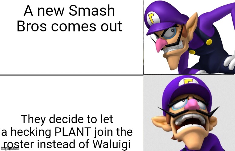 In Wahstice we trust | A new Smash Bros comes out; They decide to let a hecking PLANT join the roster instead of Waluigi | image tagged in super smash bros,waluigi | made w/ Imgflip meme maker