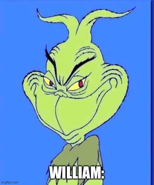 Good Grinch | WILLIAM: | image tagged in good grinch | made w/ Imgflip meme maker