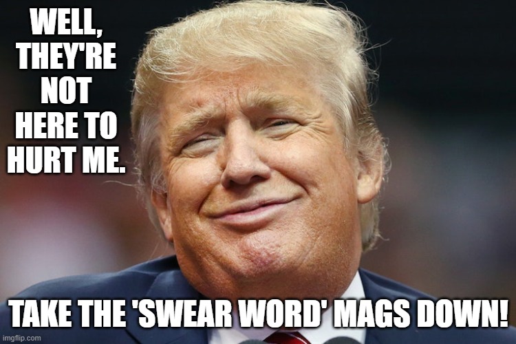 Take the MAGS down!! | WELL, THEY'RE NOT HERE TO HURT ME. TAKE THE 'SWEAR WORD' MAGS DOWN! | made w/ Imgflip meme maker