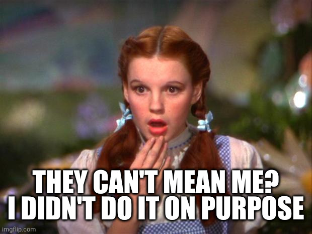 Dorothy | THEY CAN'T MEAN ME? I DIDN'T DO IT ON PURPOSE | image tagged in dorothy | made w/ Imgflip meme maker