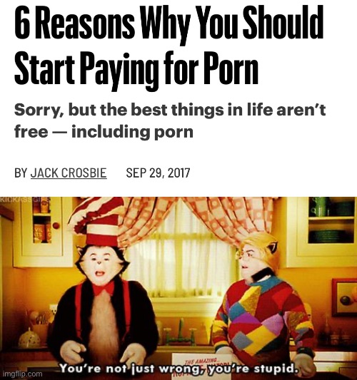 This article was written by a simp | image tagged in you're not just wrong you're stupid | made w/ Imgflip meme maker