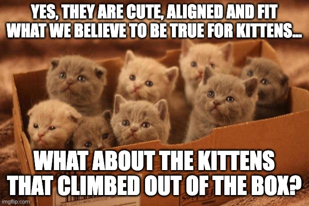 Gifted Identification | YES, THEY ARE CUTE, ALIGNED AND FIT WHAT WE BELIEVE TO BE TRUE FOR KITTENS... WHAT ABOUT THE KITTENS THAT CLIMBED OUT OF THE BOX? | image tagged in box o kittens | made w/ Imgflip meme maker