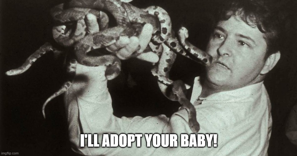 I'LL ADOPT YOUR BABY! | made w/ Imgflip meme maker