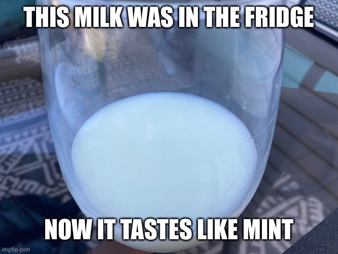 Don’t say it | THIS MILK WAS IN THE FRIDGE; NOW IT TASTES LIKE MINT | image tagged in milk | made w/ Imgflip meme maker