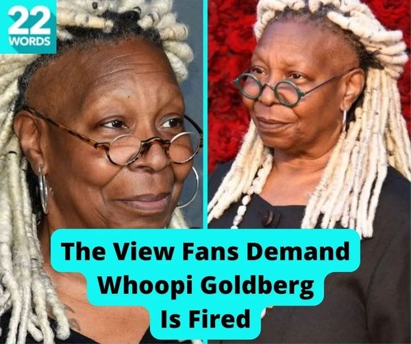 Don't you just love that bleached dog shit hair style? | image tagged in whoopi goldberg,bleached dog shit,rag mop,mophead,racist beeotch,bitch please | made w/ Imgflip meme maker