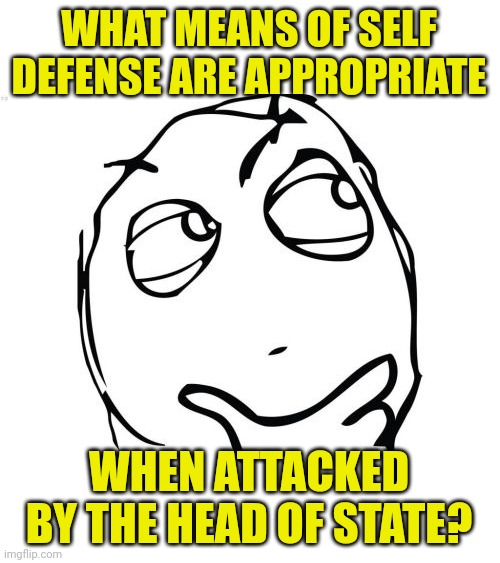 Question Rage Face Meme | WHAT MEANS OF SELF DEFENSE ARE APPROPRIATE WHEN ATTACKED BY THE HEAD OF STATE? | image tagged in memes,question rage face | made w/ Imgflip meme maker