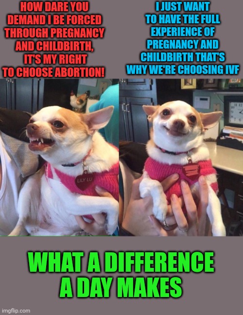 chihuahua meme | HOW DARE YOU DEMAND I BE FORCED THROUGH PREGNANCY AND CHILDBIRTH,  IT'S MY RIGHT TO CHOOSE ABORTION! I JUST WANT TO HAVE THE FULL EXPERIENCE | image tagged in chihuahua meme | made w/ Imgflip meme maker