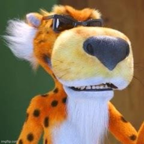 Chester Cheetah Meme | image tagged in chester cheetah meme | made w/ Imgflip meme maker