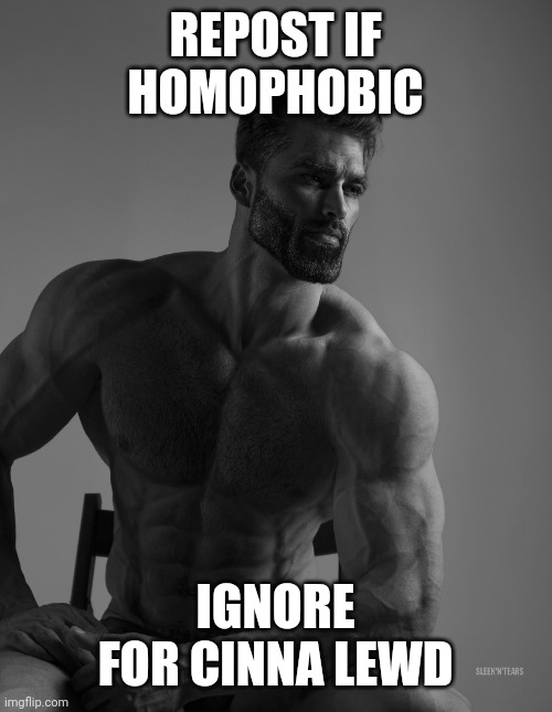 E | REPOST IF HOMOPHOBIC; IGNORE FOR CINNA LEWD | image tagged in giga chad | made w/ Imgflip meme maker