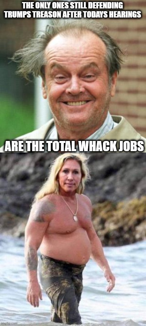 He grabbed the steering wheel and choked a Secret Service agent? WT????? | THE ONLY ONES STILL DEFENDING TRUMPS TREASON AFTER TODAYS HEARINGS; ARE THE TOTAL WHACK JOBS | image tagged in jack nicholson crazy hair,marjorie taylor greene,memes,treason,politics,lock him up | made w/ Imgflip meme maker