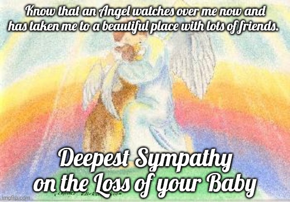 Pet Sympathy | Know that an Angel watches over me now and has taken me to a beautiful place with lots of friends. Deepest Sympathy on the Loss of your Baby | image tagged in loss,angel,sympathy,death,sheltie | made w/ Imgflip meme maker