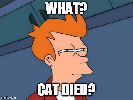 Futurama Fry Meme | WHAT? CAT DIED? | image tagged in memes,futurama fry | made w/ Imgflip meme maker