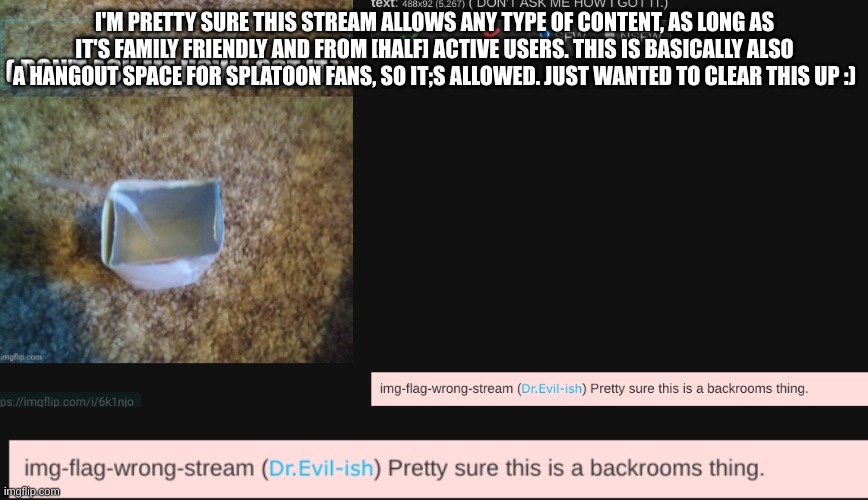 I may be wrong though | I'M PRETTY SURE THIS STREAM ALLOWS ANY TYPE OF CONTENT, AS LONG AS IT'S FAMILY FRIENDLY AND FROM [HALF] ACTIVE USERS. THIS IS BASICALLY ALSO A HANGOUT SPACE FOR SPLATOON FANS, SO IT;S ALLOWED. JUST WANTED TO CLEAR THIS UP :) | made w/ Imgflip meme maker