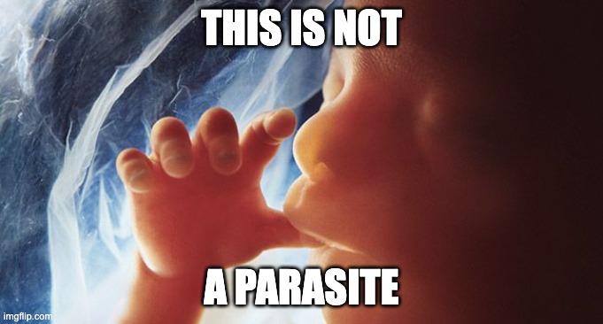 This is not a parasite or a clump of cells or anything else the left is calling it to diminish its value. |  THIS IS NOT; A PARASITE | image tagged in life,constitution,pro-life,choose life | made w/ Imgflip meme maker