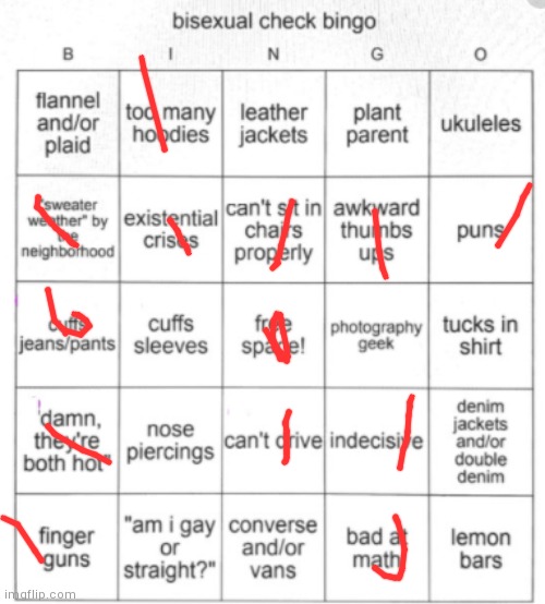 Bisexual Bingo | image tagged in bisexual bingo | made w/ Imgflip meme maker