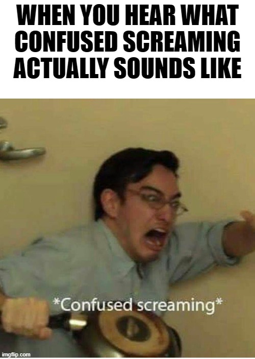 WTH | WHEN YOU HEAR WHAT CONFUSED SCREAMING ACTUALLY SOUNDS LIKE | image tagged in confused screaming,funny memes,wtf | made w/ Imgflip meme maker