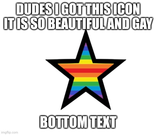 DUDES I GOT THIS ICON IT IS SO BEAUTIFUL AND GAY; BOTTOM TEXT | made w/ Imgflip meme maker