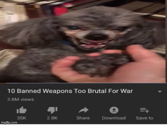 the video that i took this photo from is from sad cat | image tagged in 10 banned weapons to brutal for war,dog | made w/ Imgflip meme maker