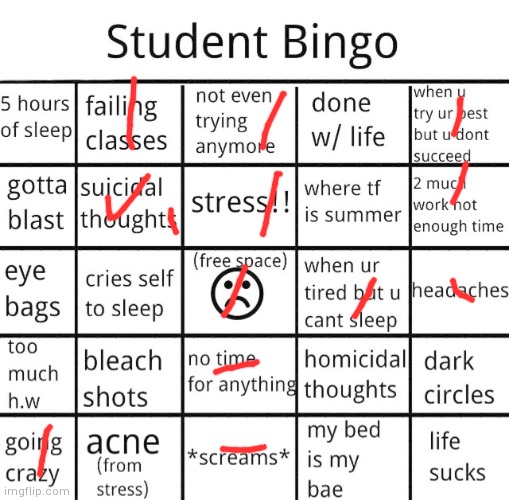 student bingo | image tagged in student bingo | made w/ Imgflip meme maker