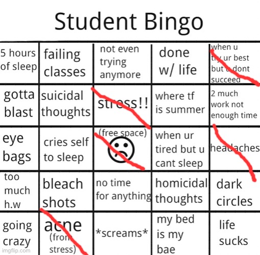 student bingo | image tagged in student bingo | made w/ Imgflip meme maker