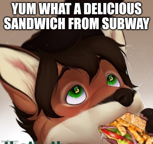 Subway | YUM WHAT A DELICIOUS SANDWICH FROM SUBWAY | image tagged in subway | made w/ Imgflip meme maker