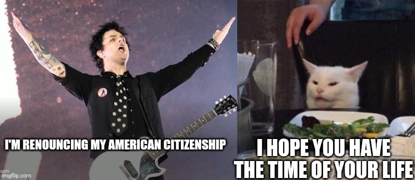 Billie joe | I HOPE YOU HAVE THE TIME OF YOUR LIFE; I'M RENOUNCING MY AMERICAN CITIZENSHIP | image tagged in memes,funny,green day | made w/ Imgflip meme maker