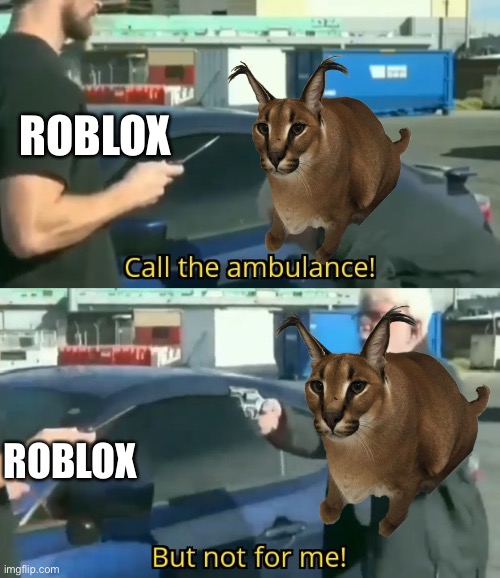 Roblox Raise a Floppa be like | ROBLOX; ROBLOX | image tagged in call an ambulance but not for me | made w/ Imgflip meme maker