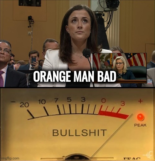 I avoided disappointment by not watching | ORANGE MAN BAD | image tagged in bullshit meter,media lies,media bias,a small price to pay for salvation,bought and paid for | made w/ Imgflip meme maker