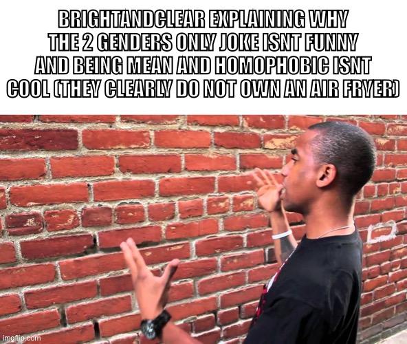 Man talking to wall | BRIGHTANDCLEAR EXPLAINING WHY THE 2 GENDERS ONLY JOKE ISNT FUNNY AND BEING MEAN AND HOMOPHOBIC ISNT COOL (THEY CLEARLY DO NOT OWN AN AIR FRYER) | image tagged in man talking to wall | made w/ Imgflip meme maker