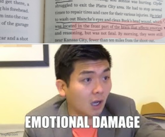 emotional damage | image tagged in emotional damage | made w/ Imgflip meme maker