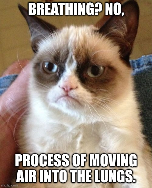 Grumpy Cat |  BREATHING? NO, PROCESS OF MOVING AIR INTO THE LUNGS. | image tagged in memes,grumpy cat | made w/ Imgflip meme maker