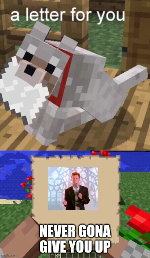 Minecraft Mail | NEVER GONA GIVE YOU UP | image tagged in minecraft mail | made w/ Imgflip meme maker