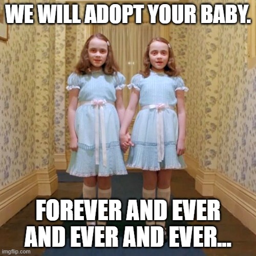 Twins from The Shining | WE WILL ADOPT YOUR BABY. FOREVER AND EVER AND EVER AND EVER... | image tagged in twins from the shining | made w/ Imgflip meme maker