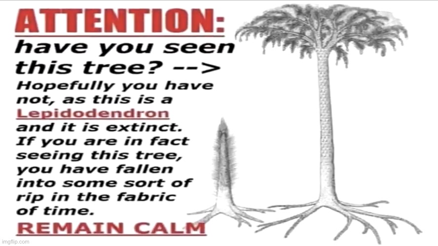 ATTENTION | image tagged in attention | made w/ Imgflip meme maker