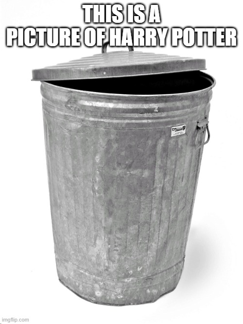 Trash Can | THIS IS A PICTURE OF HARRY POTTER | image tagged in trash can | made w/ Imgflip meme maker