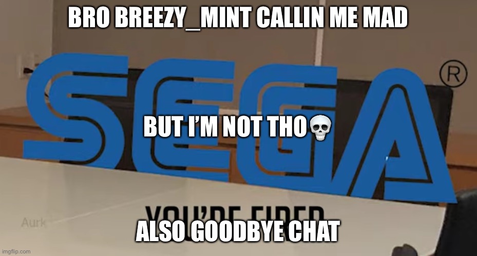 I’m in your walls | BRO BREEZY_MINT CALLIN ME MAD; BUT I’M NOT THO💀; ALSO GOODBYE CHAT | image tagged in you re fired | made w/ Imgflip meme maker