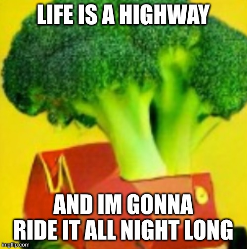 LIFE IS A HIGHWAY AND IM GONNA RIDE IT ALL NIGHT LONG | made w/ Imgflip meme maker