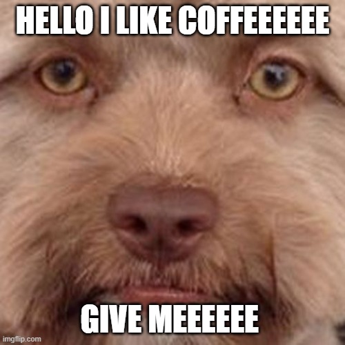 coffee | HELLO I LIKE COFFEEEEEE; GIVE MEEEEEE | image tagged in memes,coffee | made w/ Imgflip meme maker