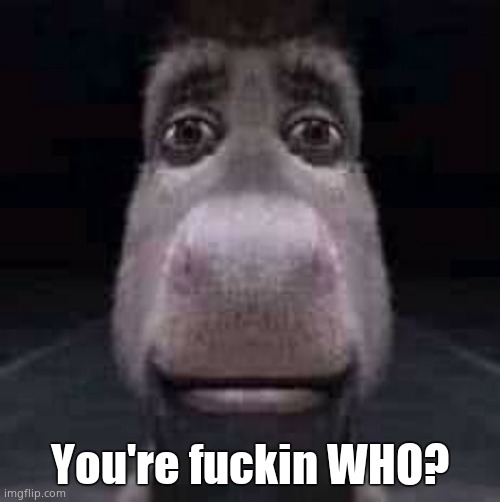 Donkey staring | You're fuckin WHO? | image tagged in donkey staring | made w/ Imgflip meme maker