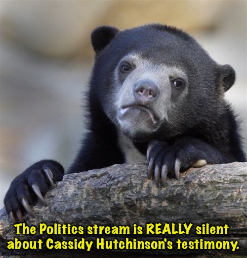 Crickets over there. | The Politics stream is REALLY silent 

about Cassidy Hutchinson's testimony. | image tagged in memes,confession bear | made w/ Imgflip meme maker