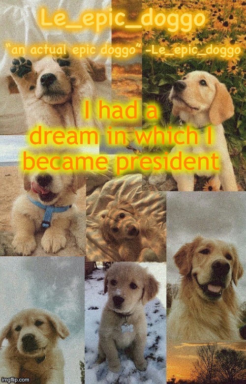 Doggo temp by doggo. Wait what that’s confusing | I had a dream in which I became president | image tagged in doggo temp by doggo wait what that s confusing | made w/ Imgflip meme maker