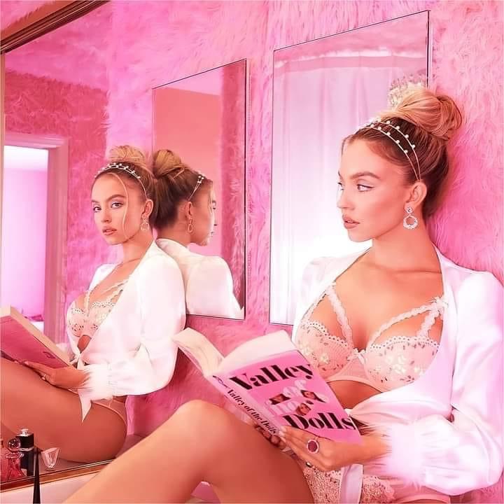 Sydney Sweeney Blank Meme Template