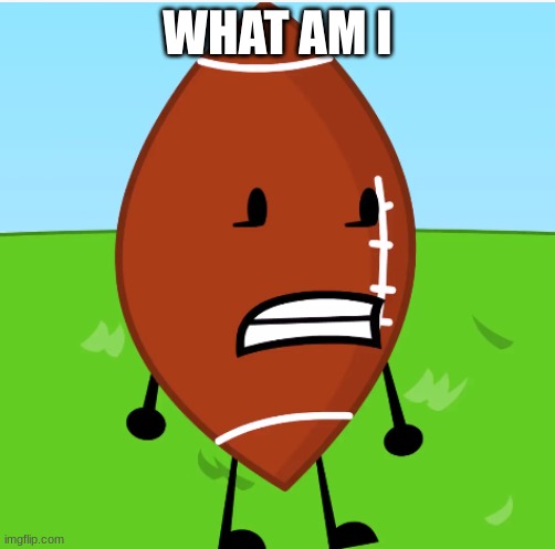 FOOTBALL | WHAT AM I | image tagged in football | made w/ Imgflip meme maker