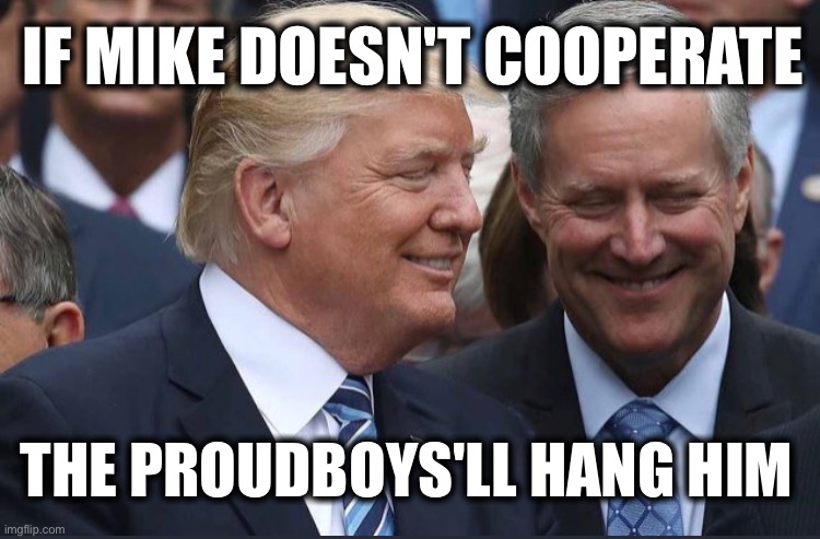 IF MIKE DOESN'T COOPERATE; THE PROUDBOYS'LL HANG HIM | image tagged in memes,january 6th 2021,coup,witness tampering,criminality,oligarchy | made w/ Imgflip meme maker