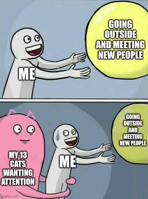 The cats won't let me have a life | GOING OUTSIDE AND MEETING NEW PEOPLE; ME; GOING OUTSIDE AND MEETING NEW PEOPLE; MY 13 CATS WANTING ATTENTION; ME | image tagged in memes,running away balloon,cat,cats | made w/ Imgflip meme maker