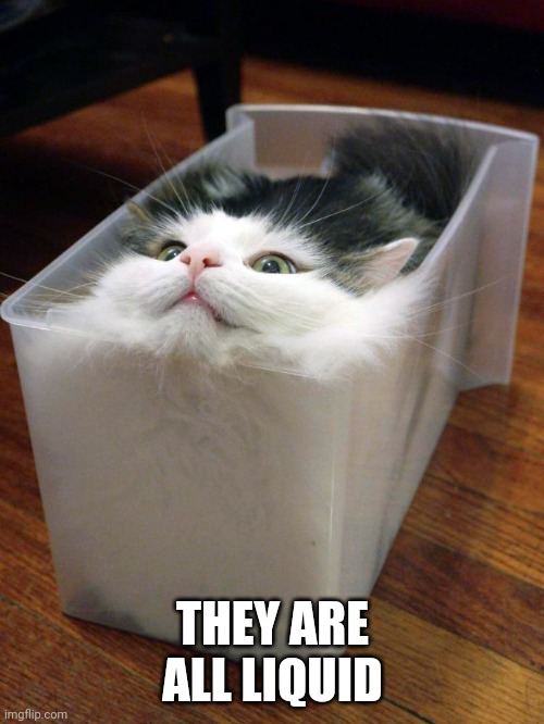 Liquid Cat | THEY ARE ALL LIQUID | image tagged in liquid cat | made w/ Imgflip meme maker