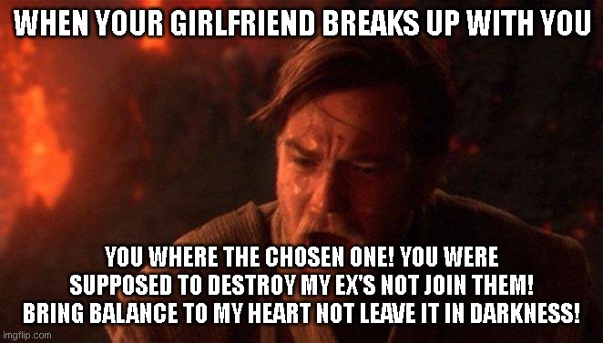 When your girlfriend breaks up with you | WHEN YOUR GIRLFRIEND BREAKS UP WITH YOU; YOU WHERE THE CHOSEN ONE! YOU WERE SUPPOSED TO DESTROY MY EX'S NOT JOIN THEM! BRING BALANCE TO MY HEART NOT LEAVE IT IN DARKNESS! | image tagged in memes,you were the chosen one star wars | made w/ Imgflip meme maker