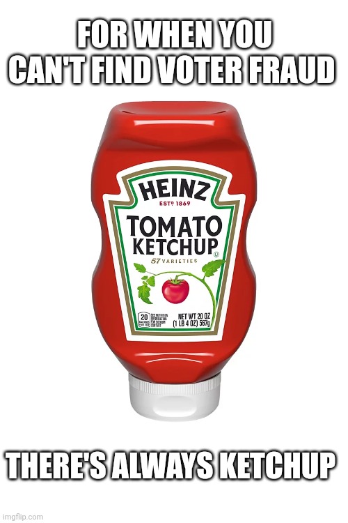 FOR WHEN YOU CAN'T FIND VOTER FRAUD; THERE'S ALWAYS KETCHUP | made w/ Imgflip meme maker